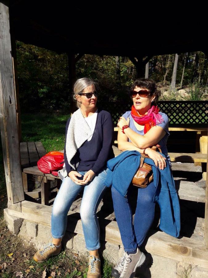 Petra Maria Soelle - Ferienhaus Sehr Privat Presseggersee Εξωτερικό φωτογραφία