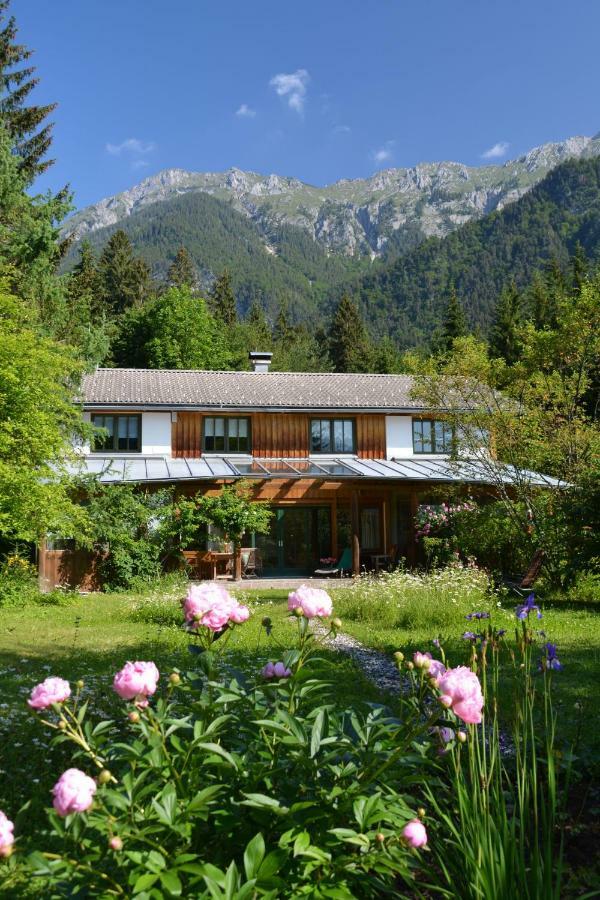 Petra Maria Soelle - Ferienhaus Sehr Privat Presseggersee Εξωτερικό φωτογραφία